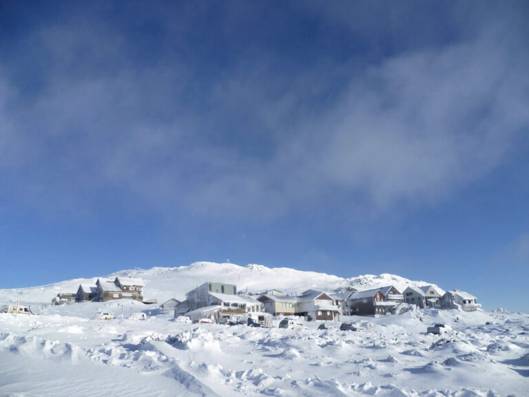 Snow Cam Ben Lomond Alpine Resort